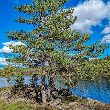 Cozy In With House A Panoramic View * Bjelland